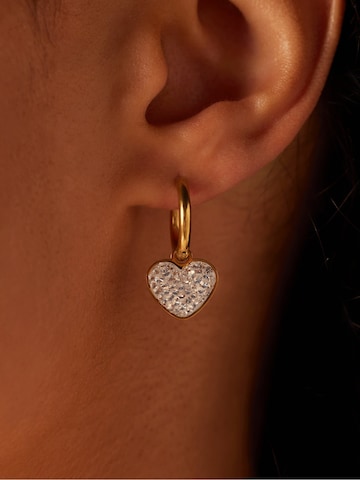 Boucles d'oreilles Lucardi en or : devant