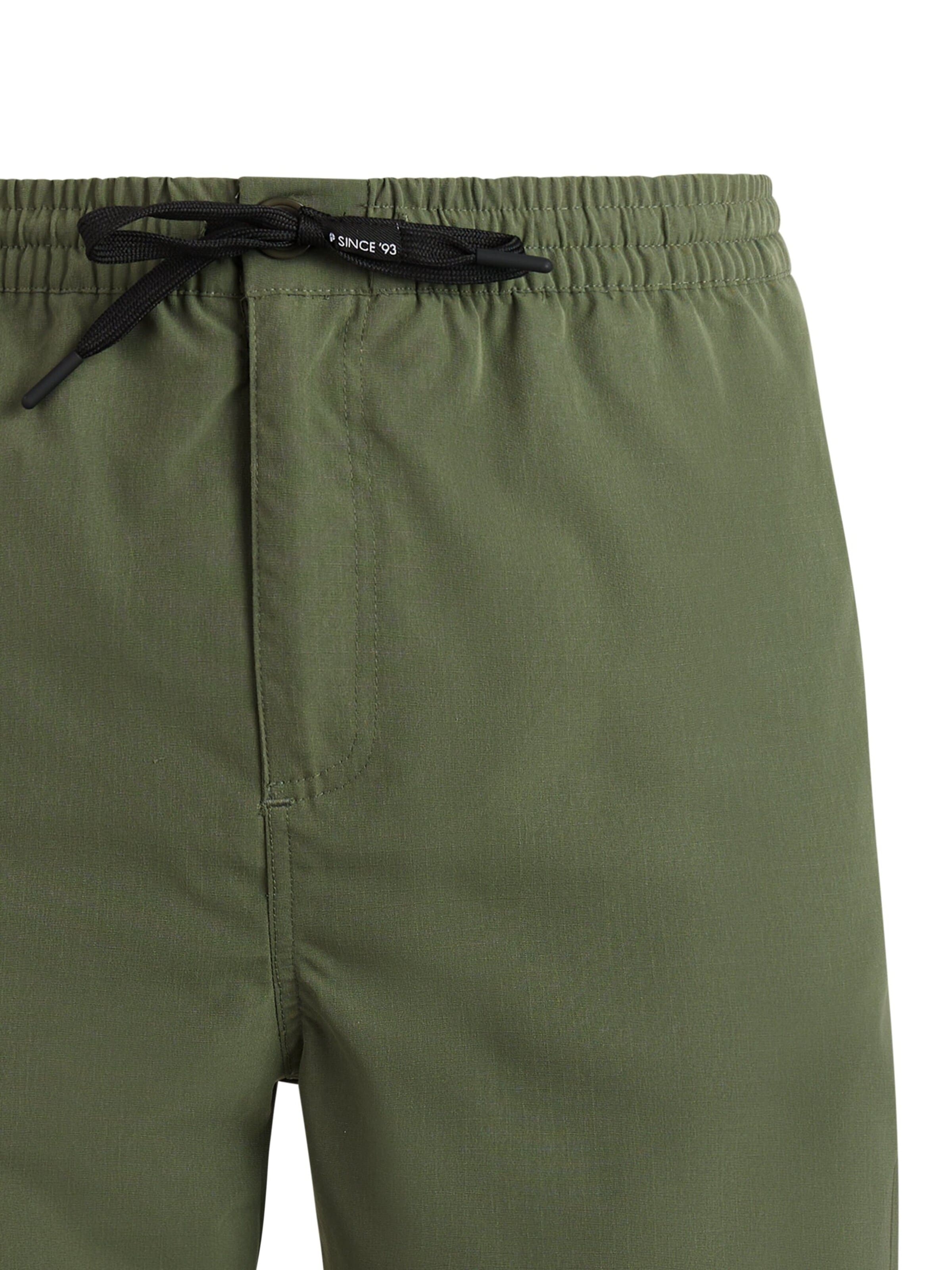 PROTEST Board Shorts 'PRTFilby' in Green