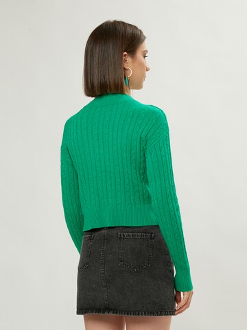 Influencer - Pullover em verde