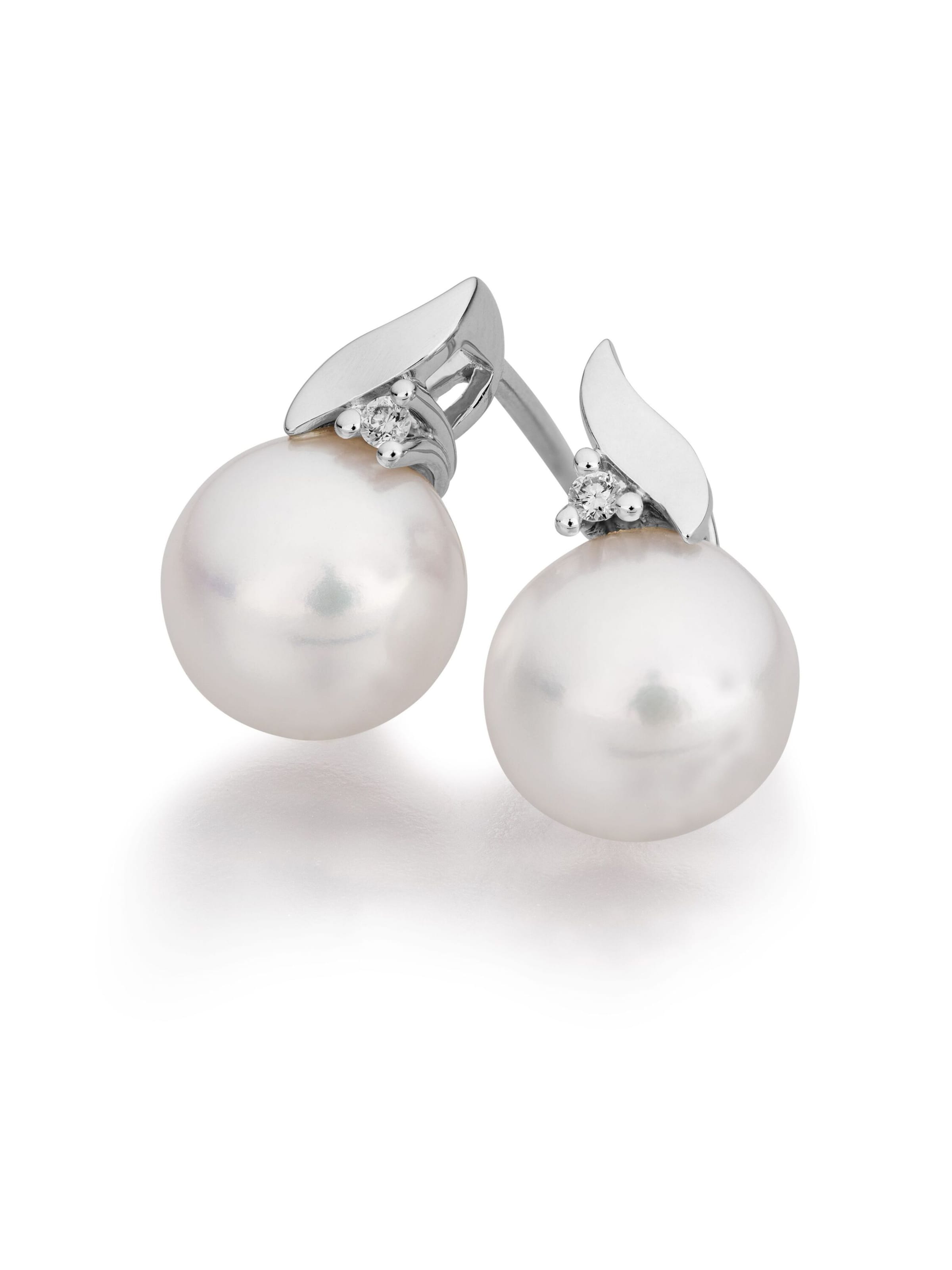 Orolino Earrings in Silver