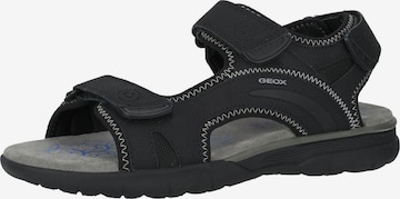 GEOX Hiking Sandals 'Spherica' in Black: front