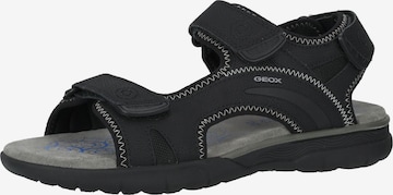 GEOX Trekkingsandal 'Spherica' i svart: framsida