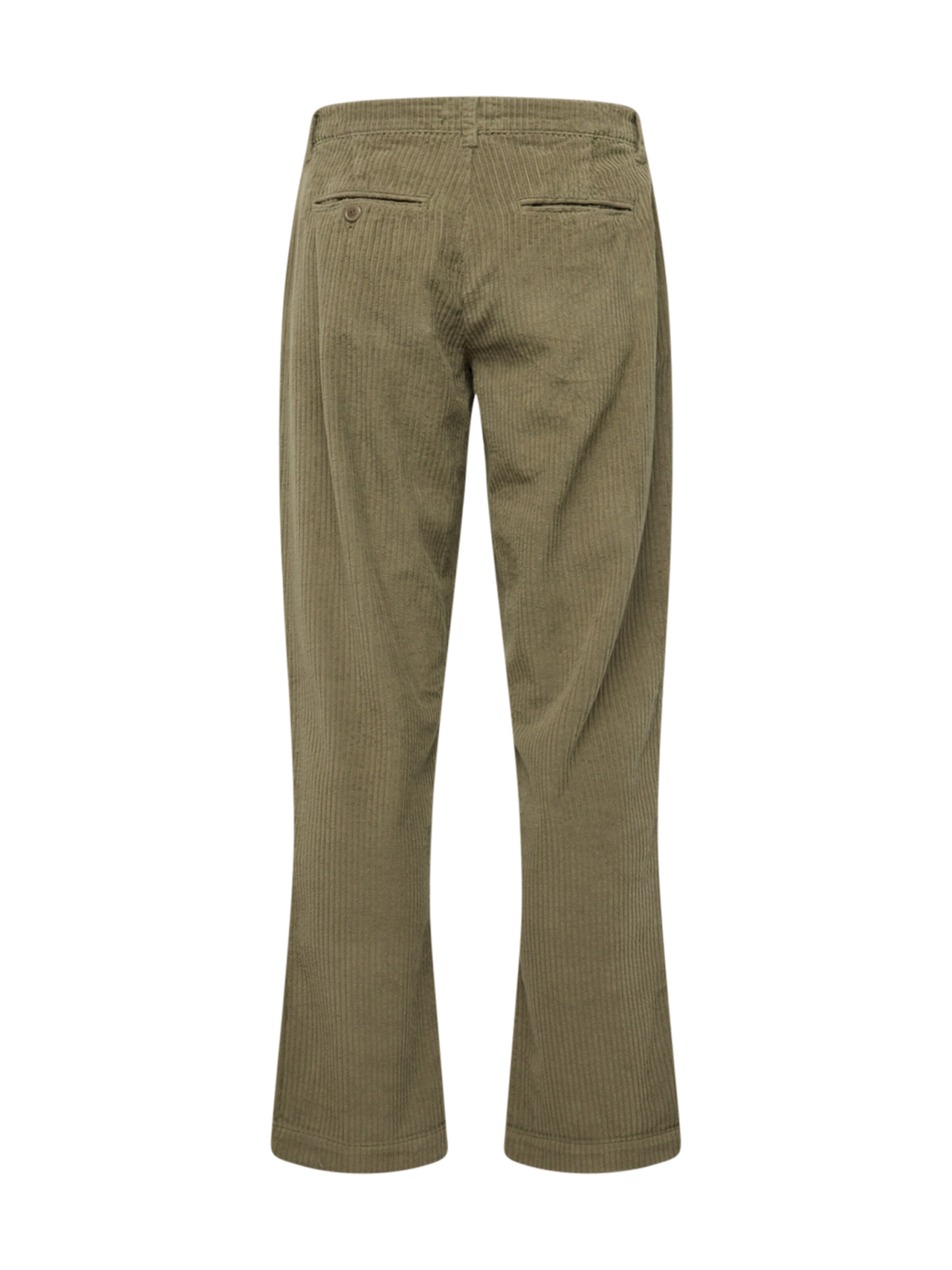 regular Pantaloni con pieghe di Brava Fabrics in verde