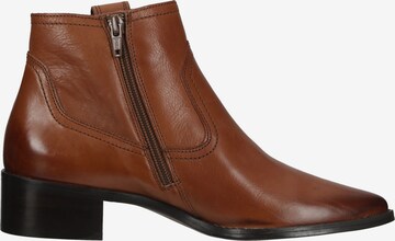 Paul Green Ankle Boots in Brown