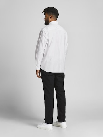 Jack & Jones Plus Regular fit Overhemd 'Oxford' in Wit