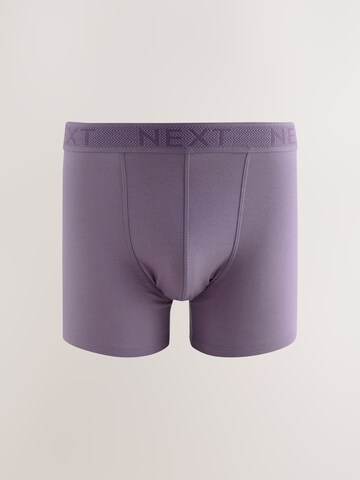 Next Trunks in Mischfarben