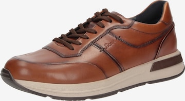 SIOUX Sneakers laag ' Rojaro-720 ' in Bruin: voorkant
