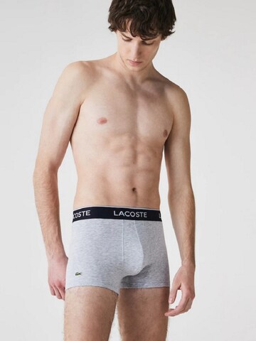 Boxers 'Casualnoirs' LACOSTE en gris : devant