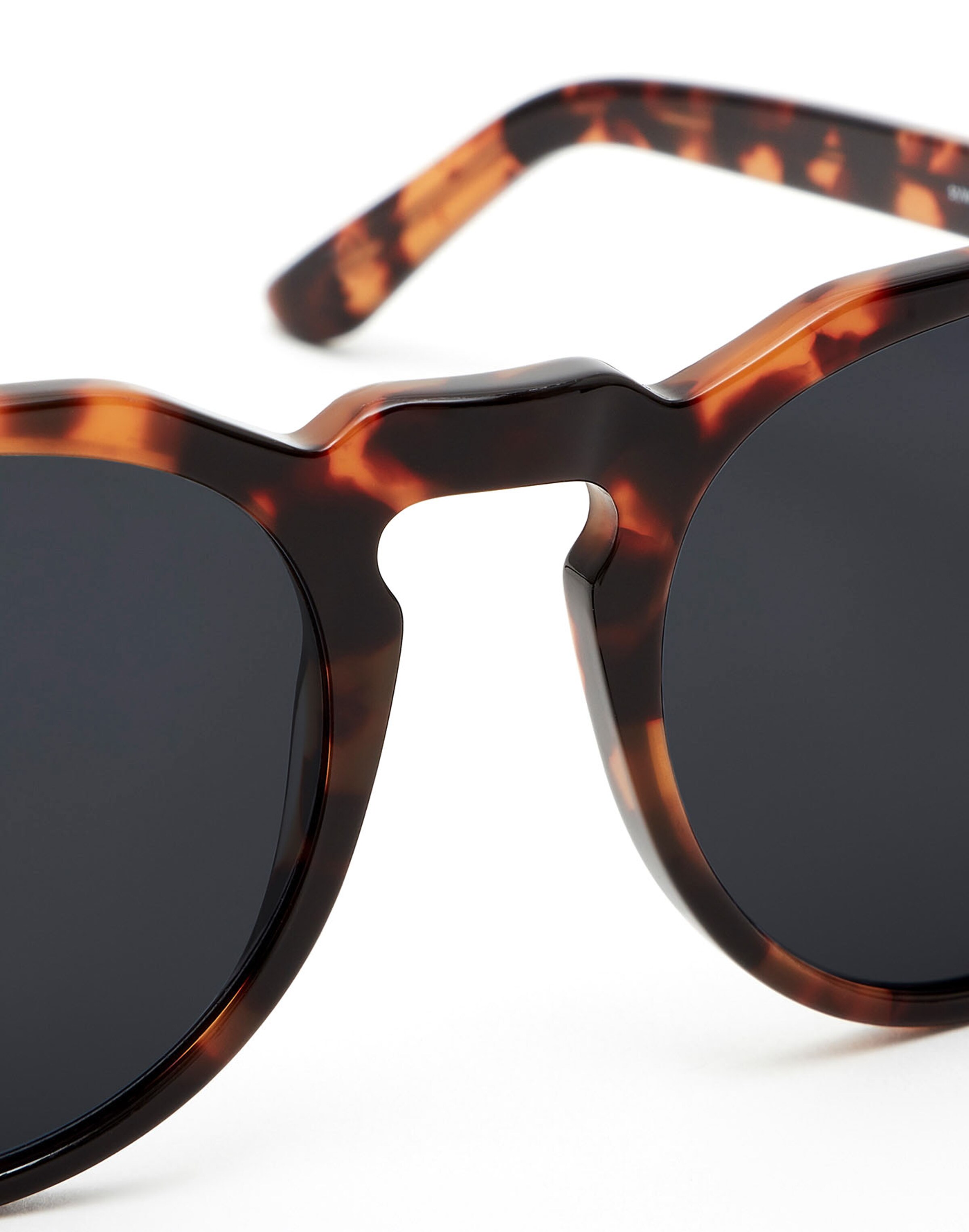 HAWKERS Sunglasses 'WARWICK X' in Brown