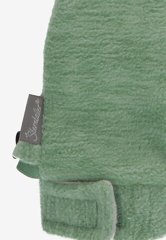 STERNTALER Gloves in Green