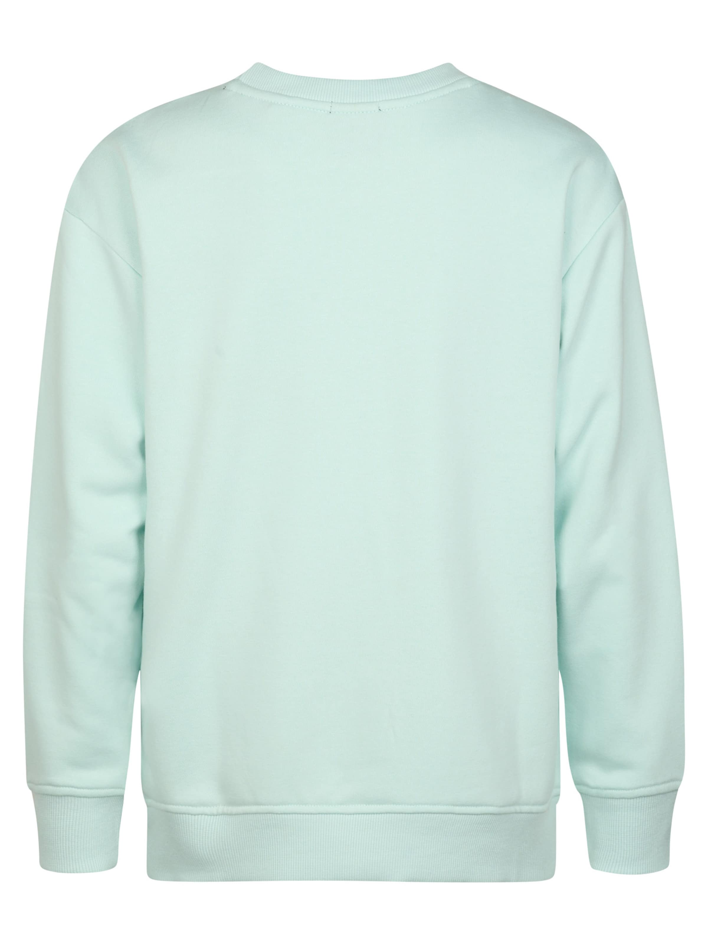 Petrol Industries Sweatshirt 'Coyote' in Green