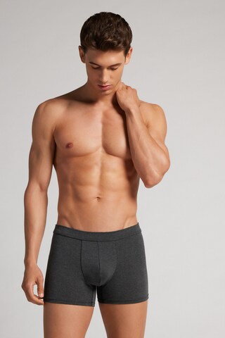 INTIMISSIMI Boxer shorts in Grey
