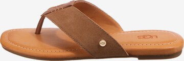 UGG - Chinelos de dedo 'Carey' em castanho