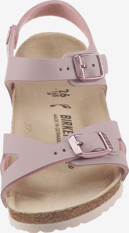 BIRKENSTOCK Sandale  'Rio' in Lila