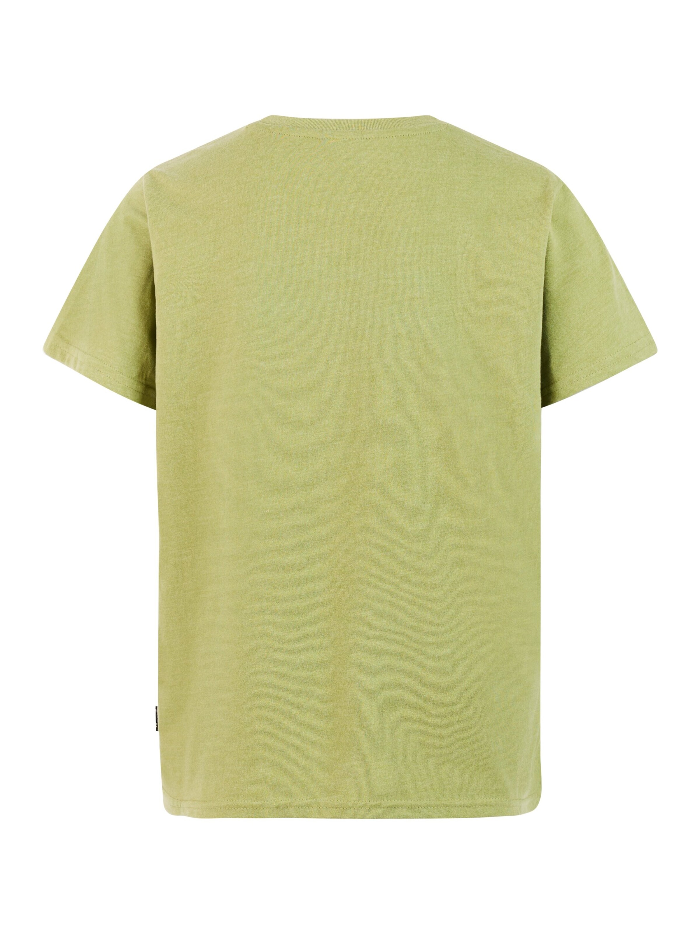 PROTEST Shirt 'PRTRay JR' in Green