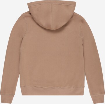 Abercrombie & Fitch Sweatshirt in Brown