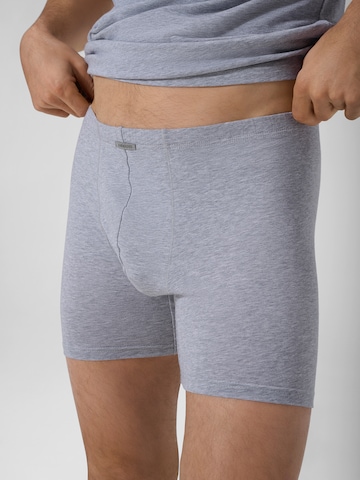Boxers ' Close To You ' Ammann en gris