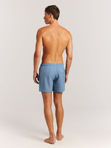 PROTEST Zwemshorts 'Davey' in Blauw
