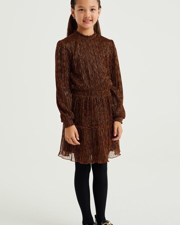 WE Fashion Dress in Brown