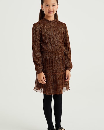 WE Fashion Dress in Brown