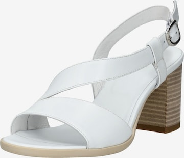 Nero Giardini Sandale in Weiß: Vorderseite