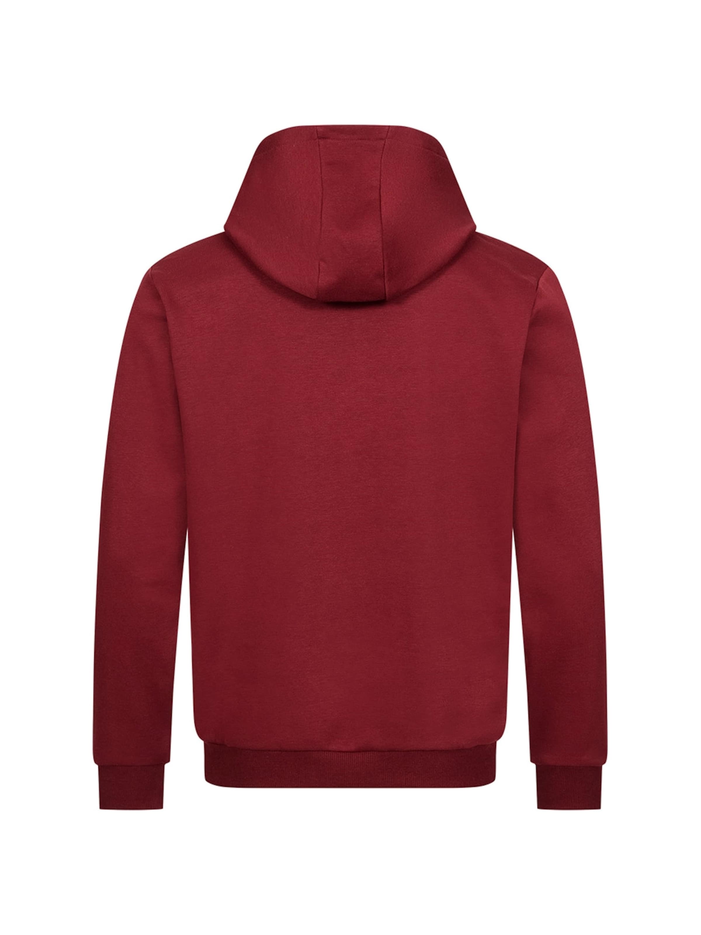 PIERRE CARDIN Hoodie in Rot