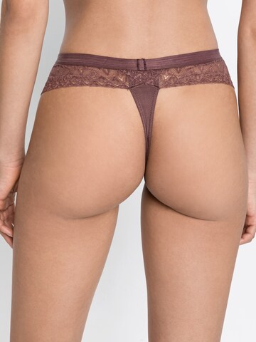 s.Oliver Thong in Brown