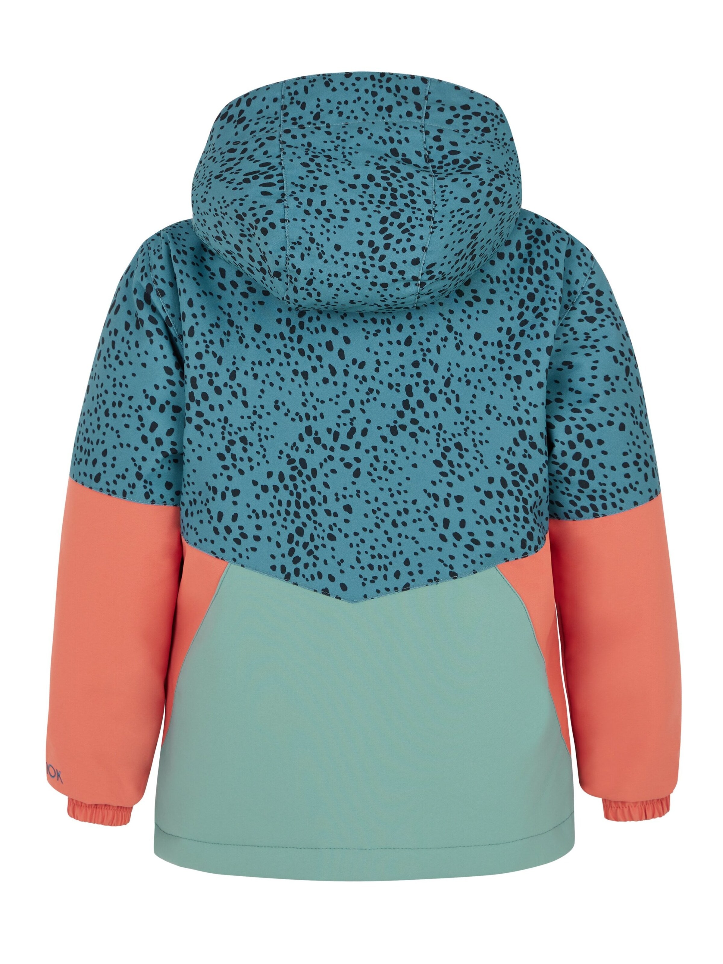 PROTEST Sportjas 'PRTLISKE TD' in Blauw