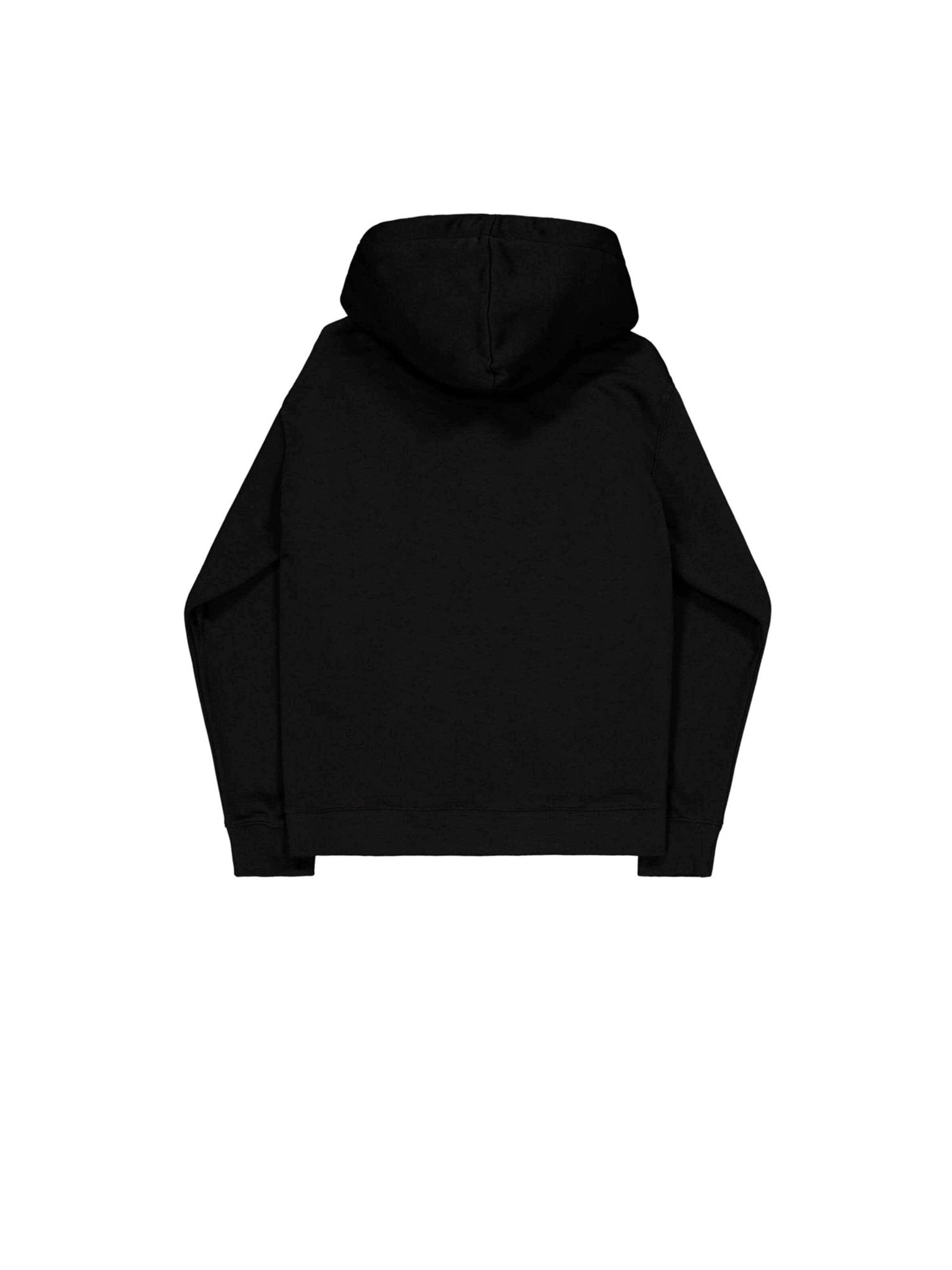 ALPHA INDUSTRIES Sweatshirt‌‌‌‌‌‌ in Schwarz