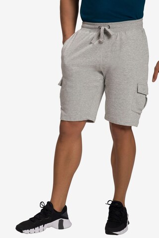 Regular Pantalon JP1880 en gris : devant