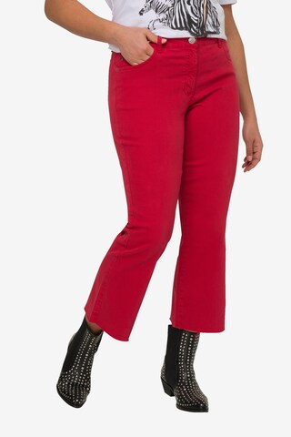 Angel of Style Flared Jeans in Red: front