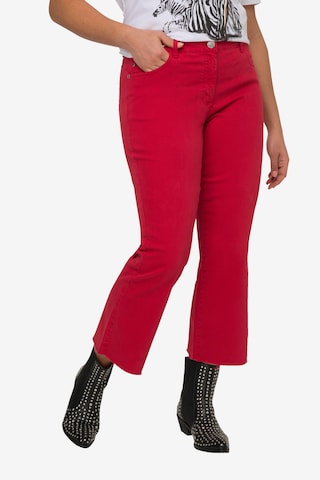 Angel of Style Flared Jeans in Red: front