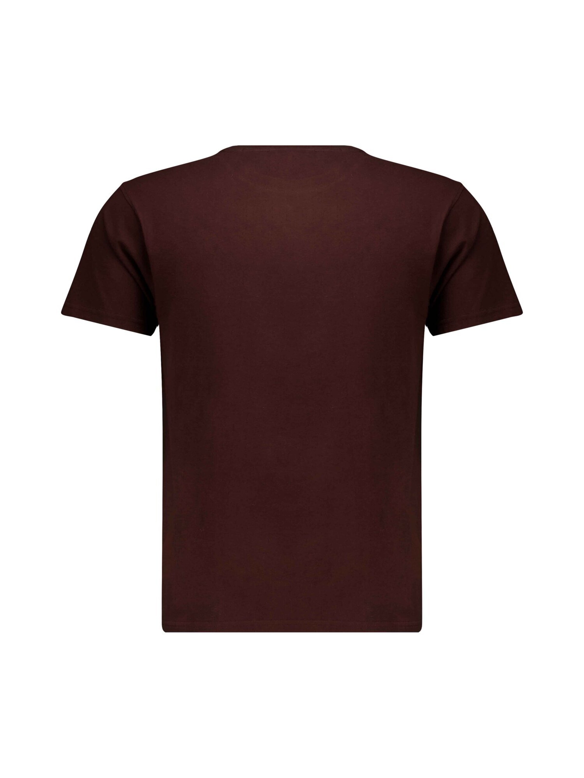 Deeluxe Shirt 'Tellson' in Bruin