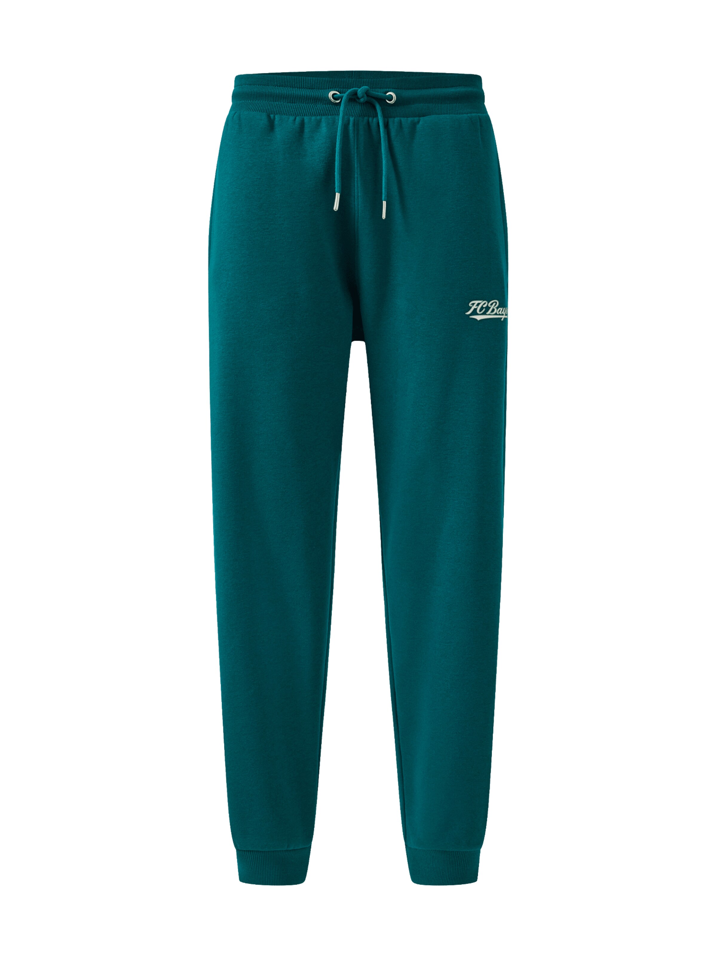 FC BAYERN MÜNCHEN Regular Pants in Green: front