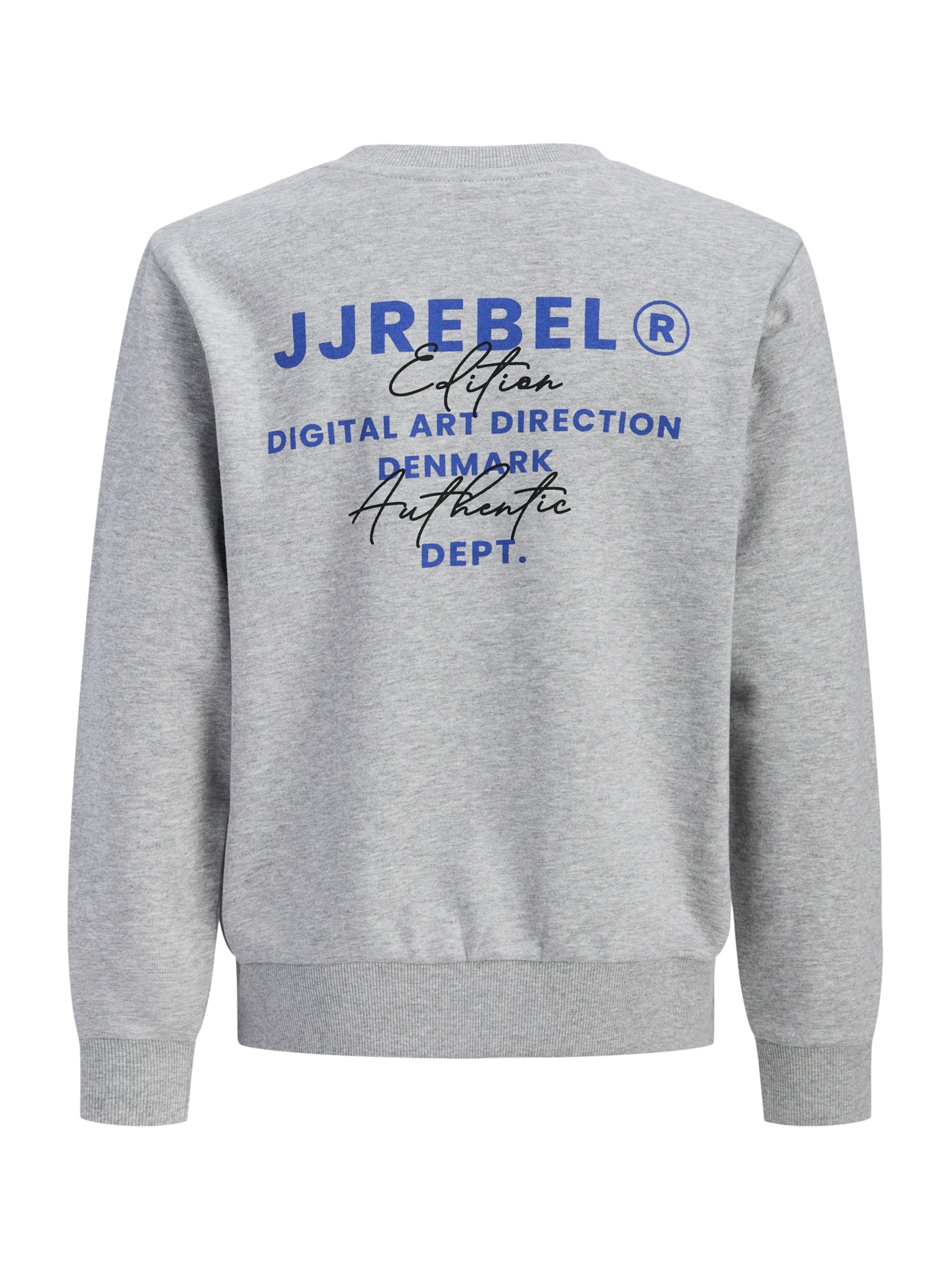 JJ Rebel Sweatshirt 'JREBhayden' in Grijs