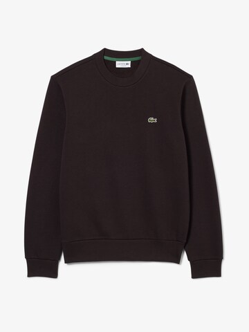 LACOSTE Sweatshirt in Braun