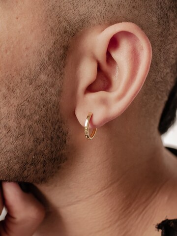 Hey Happiness Earring 'Band' in Gold