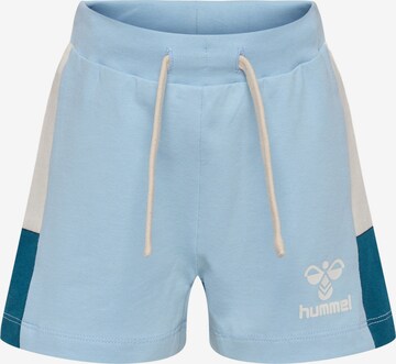 Hummel Regular Pants in Blue: front