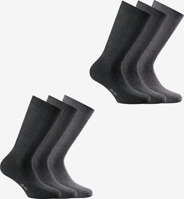 Rohner Basic Sportsocken in Grau: predná strana