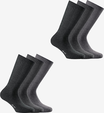 Chaussettes de sport Rohner Basic en gris : devant