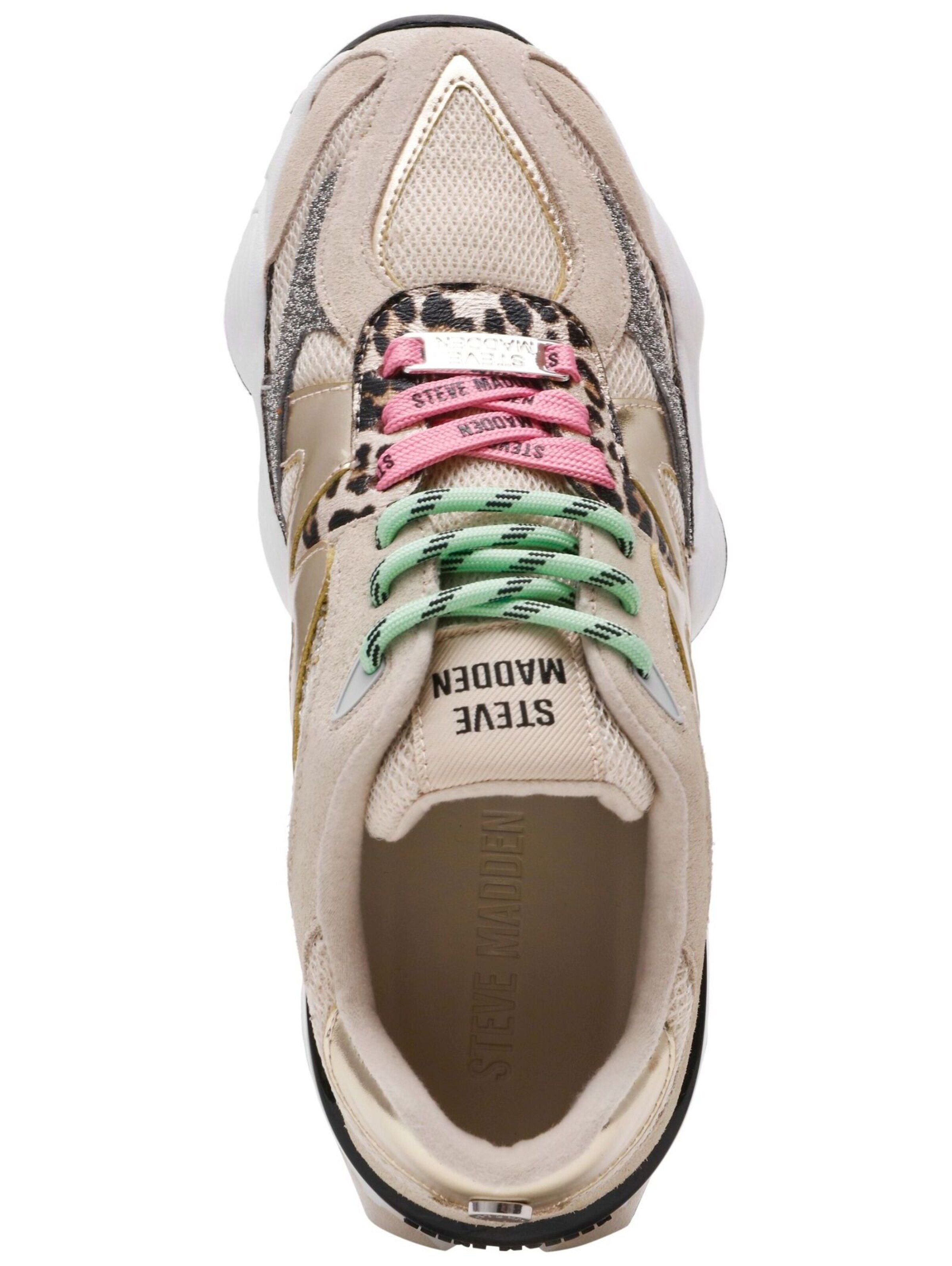 Baskets basses STEVE MADDEN en beige