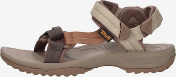 TEVA Sandals 'Terra Fi Lite' in Brown: front
