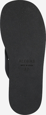 Alohas T-bar sandals 'Overcast' in Black