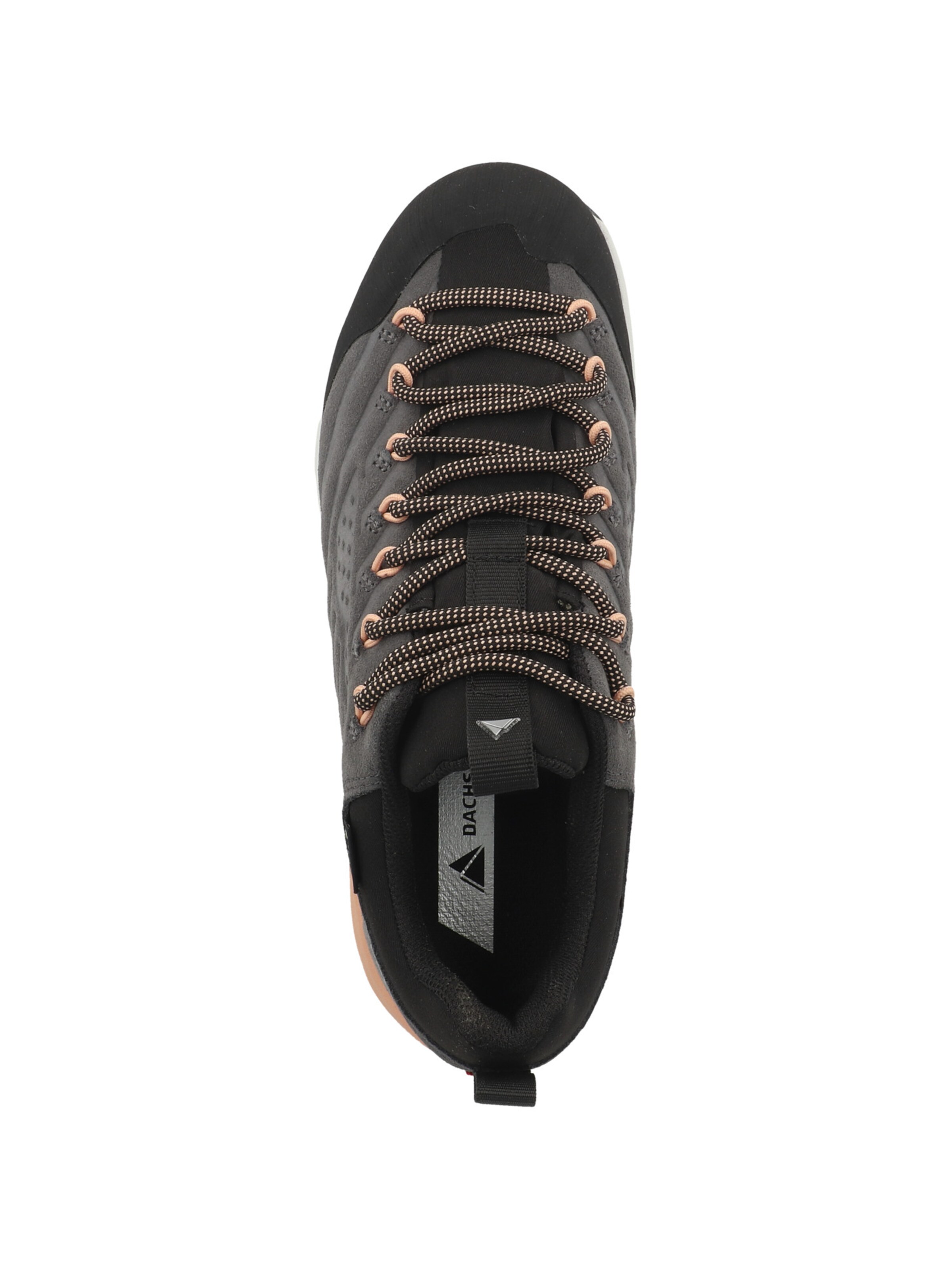 Scarpa bassa 'Sf-21 Gtx' di Dachstein in grigio