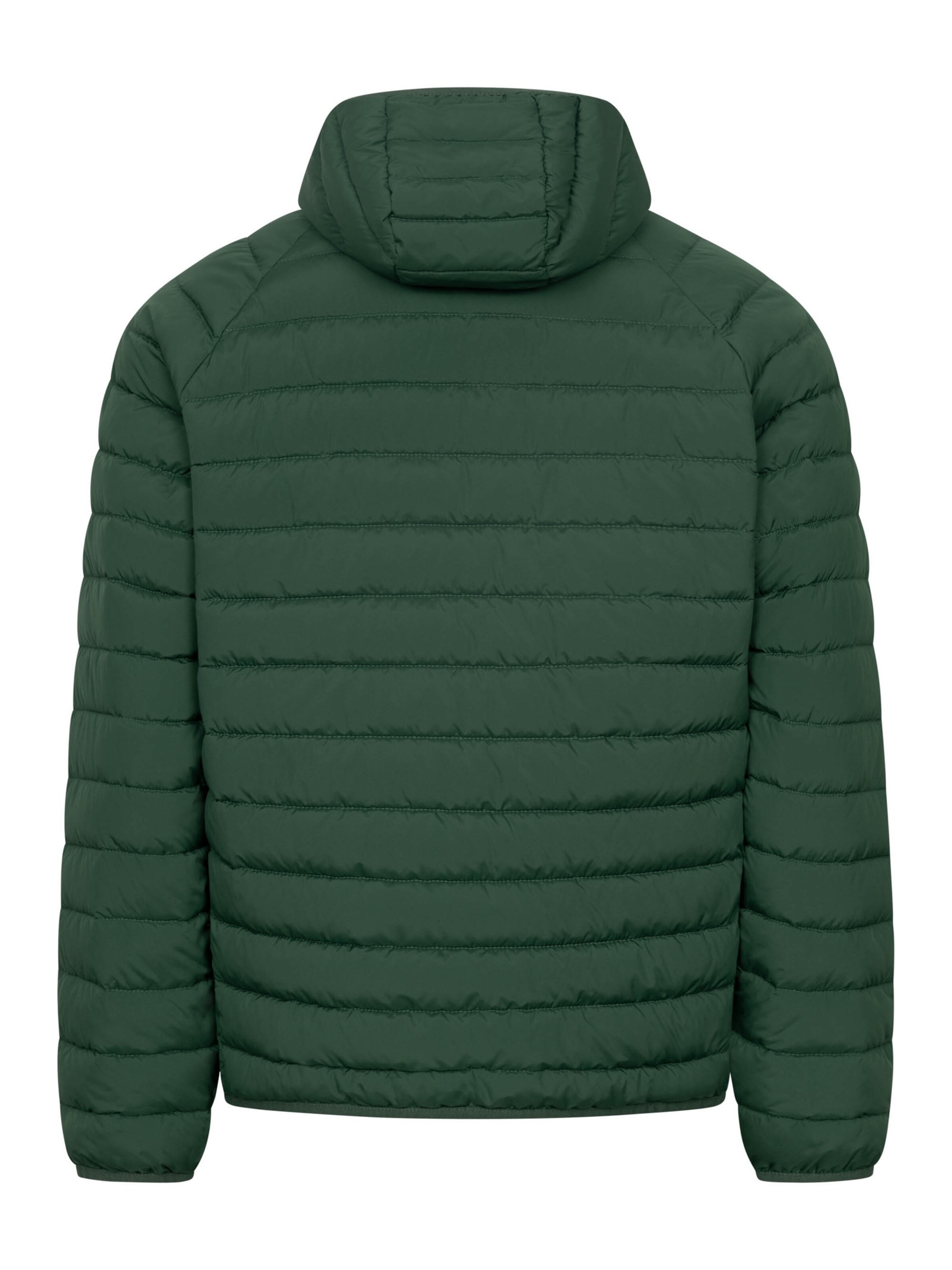 Derbe Between-Season Jacket in Green