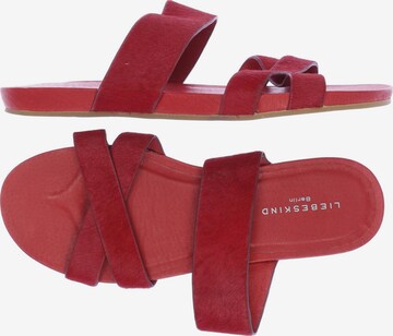 Liebeskind Berlin Sandals & High-Heeled Sandals in 41 in Red: front