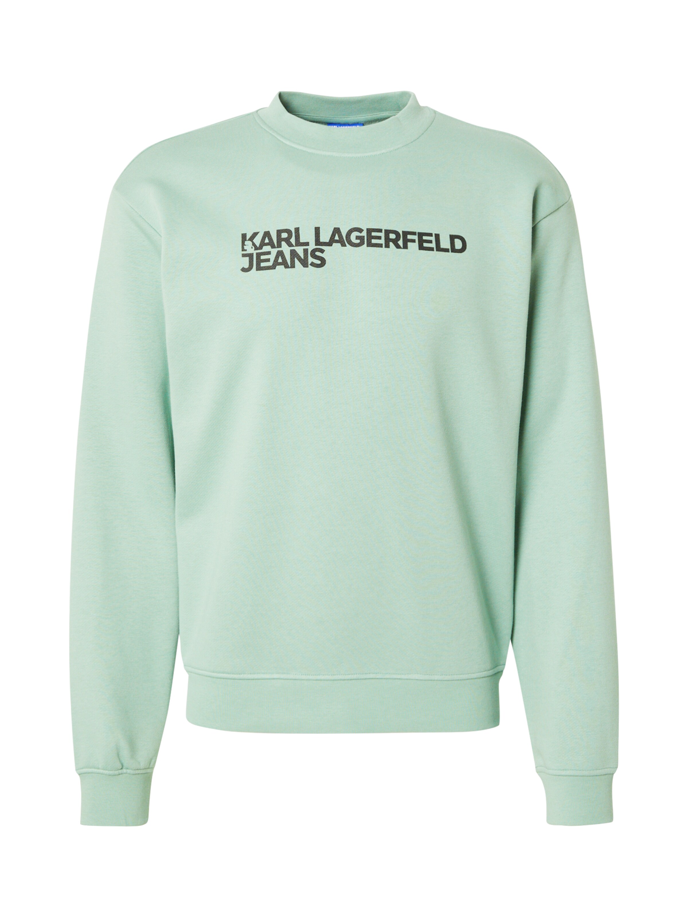 Felpa 'ESSENTIAL' di KARL LAGERFELD JEANS in verde: frontale
