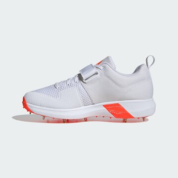 Chaussure de sport 'Adipower Vector 20' ADIDAS PERFORMANCE en blanc