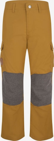 TROLLKIDS Workout Pants in Brown: front
