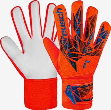 REUSCH Athletic Gloves 'Attrakt Starter Solid' in Orange: front